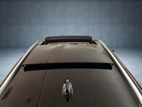 Volkswagen T-Roc - Vorschau Bild 19