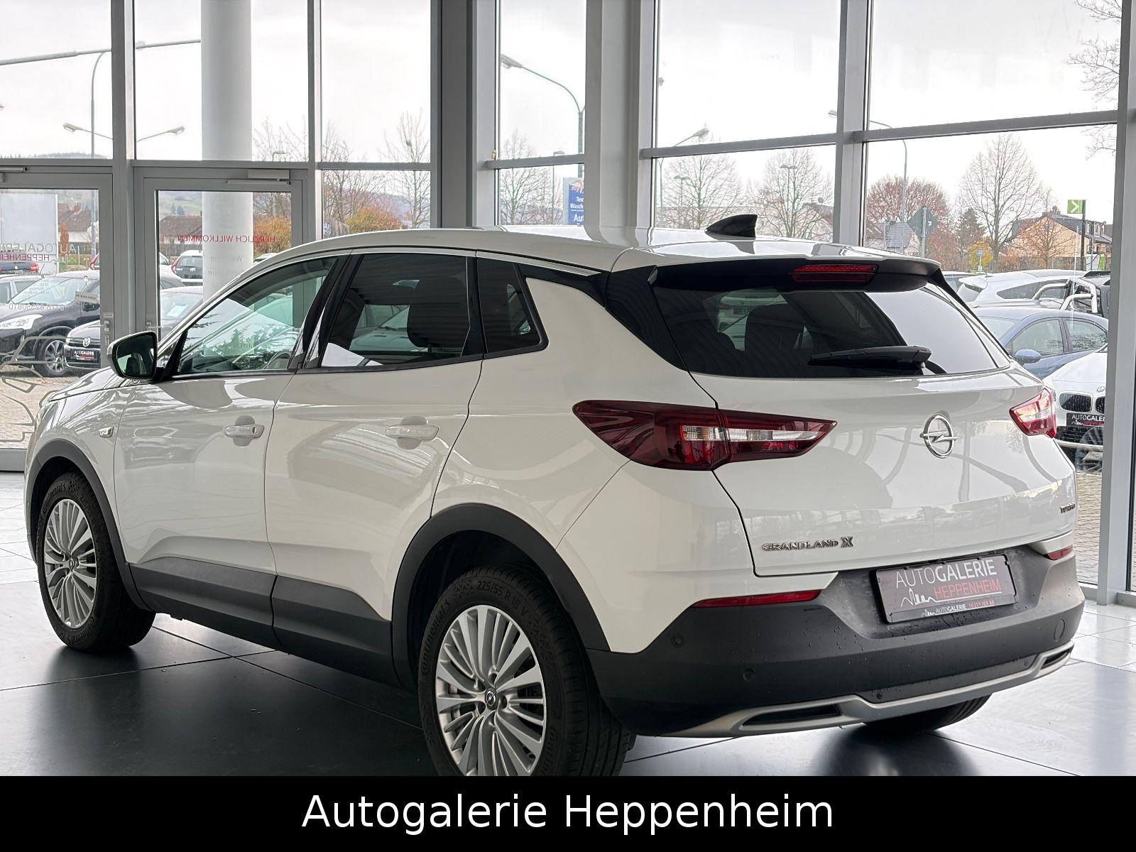 Opel Grandland (X)Innovation/AUT/NAV/SHZ/L-HEIZ/R-KAM