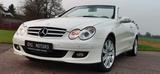 Mercedes-Benz CLK 350 CABRIO HARMAN KARDON - Mercedes-Benz: Cabrio, Clk