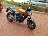 Honda Hornet CB 600 FA PC41 - HONDA CB 600 F HORNET
