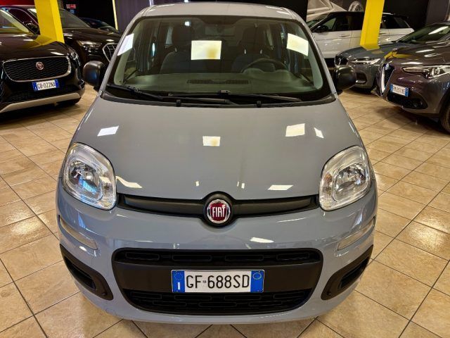 Image of Fiat Panda