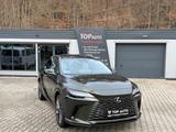 Lexus RX 450h+E-Four Luxury.360 Kam.AWD.P.Dach.ACCMY26 - Lexus RX 450 Gebrauchtwagen