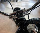 Harley-Davidson Softail Standard  - Offers