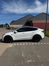 Tesla Model Y Long Range Allrad - 1. Hand / 20 Zoll - Tesla Model Y