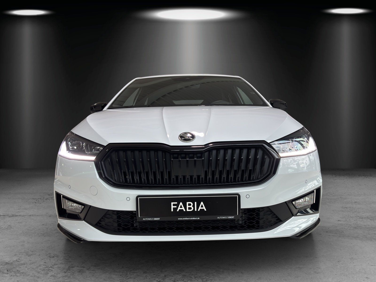 Fahrzeugabbildung SKODA Fabia Monte Carlo 1,0 TSI 85 kW DSG