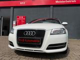 Audi A3 Cabriolet Attraction*55630Km*Tüv Au! - Audi A3: Attraction