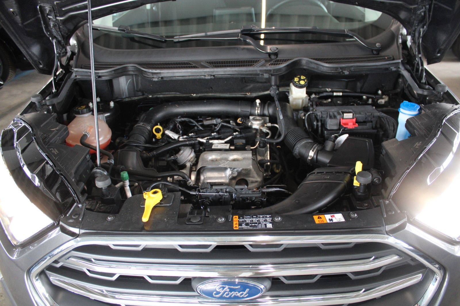 Fahrzeugabbildung Ford EcoSport Titanium NAVI Schiebedach CAM WinterPak