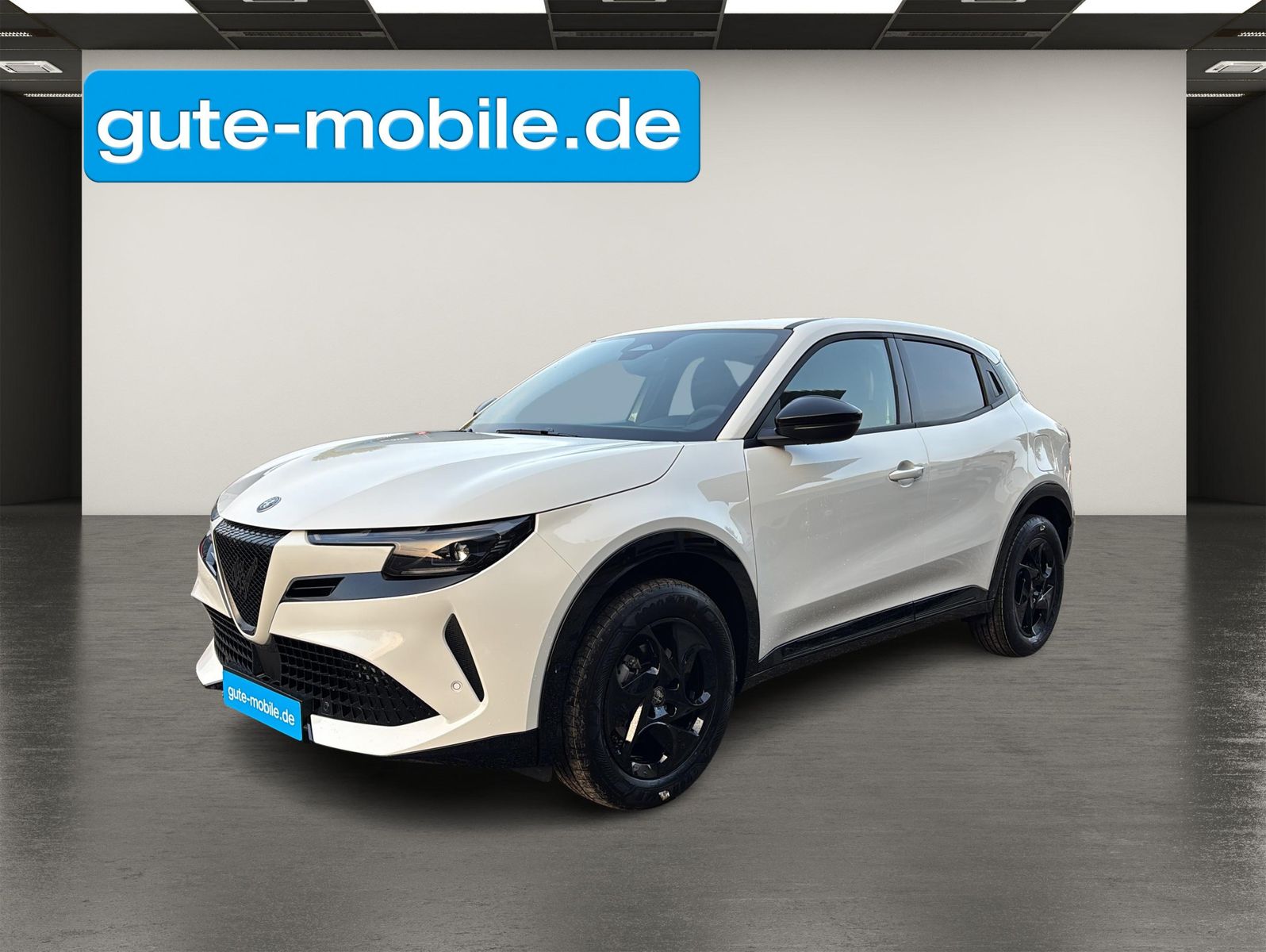 Alfa Romeo Junior - Bild 1