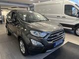 Ford EcoSport 1.0 Titanium PDC WINTER-P SKR+WKR - Ford EcoSport Gebrauchtwagen