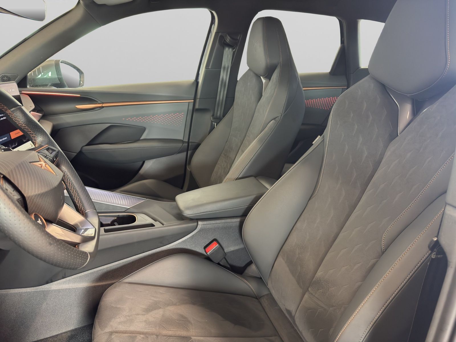 Cupra Terramar - Bild 9