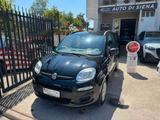 Fiat Panda 1.2 Classic - Fiat Panda Classic