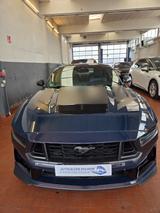 Ford MUSTANG DARK HORSE / V8/B&O/IACC/BLIS/GARANTIE - Ford Mustang Gebrauchtwagen in Köln