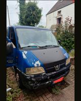 Peugeot Boxer - gebrauchte Peugeot Boxer aus dem Jahr 2004