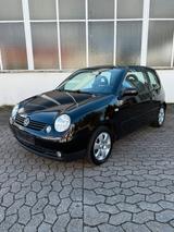 Volkswagen VW Lupo 1.4 TÜV 02/2027 Klimaautomatik Sit... - gebrauchte VW Lupo aus dem Jahr 2004