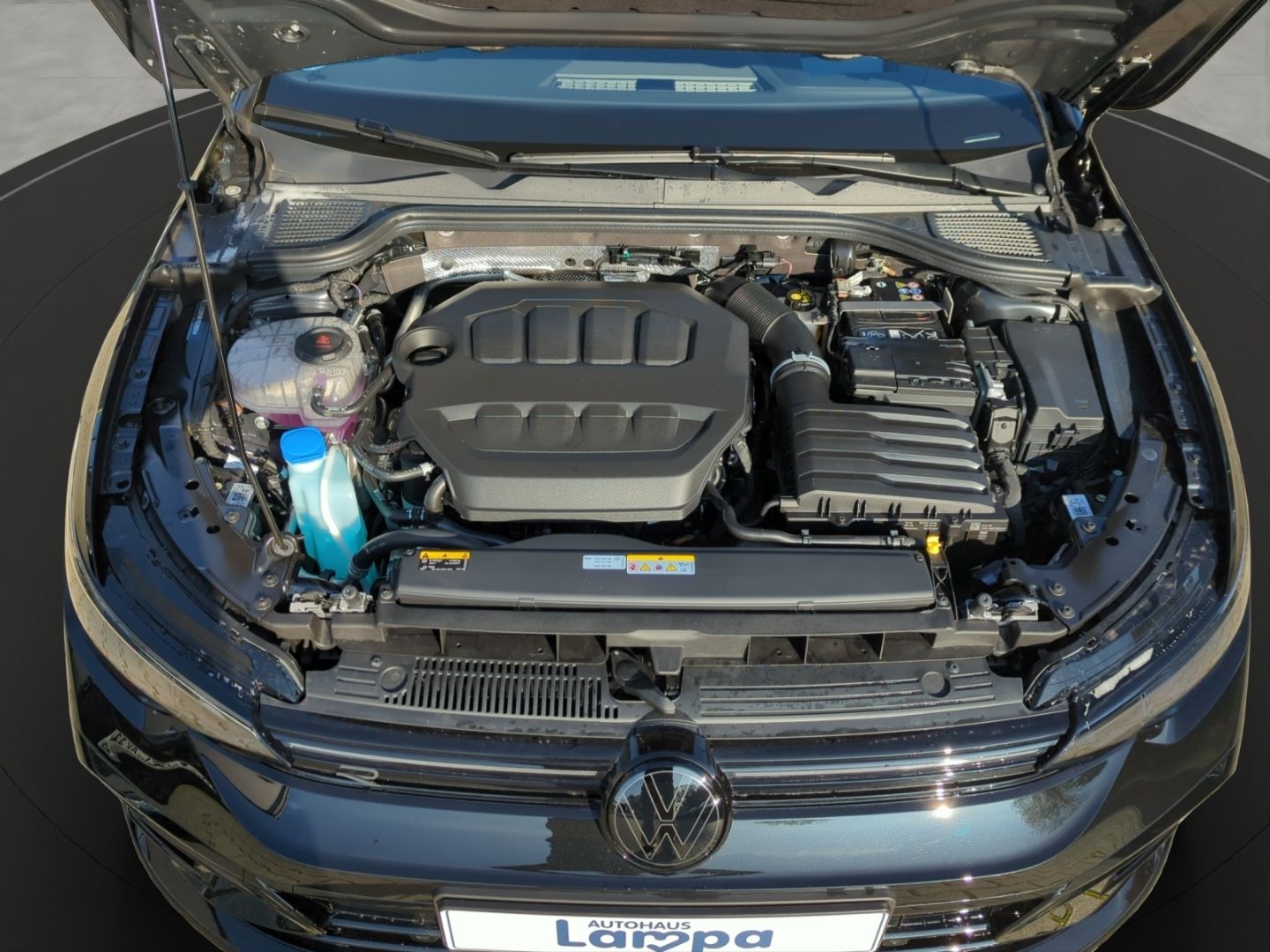 Volkswagen Golf R VIII Black 2.0 TSI DSG NAV RFK ACC MATRIX foto 9
