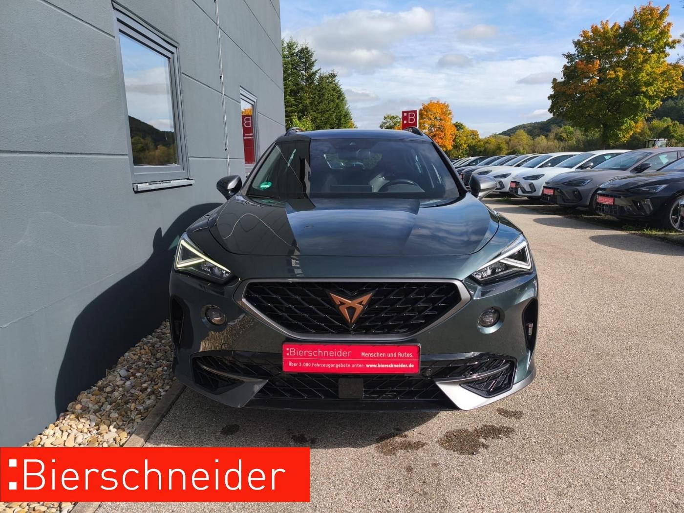 Cupra Formentor 2.0 TSI DSG 4Drive VZ eSitz Beats Kame