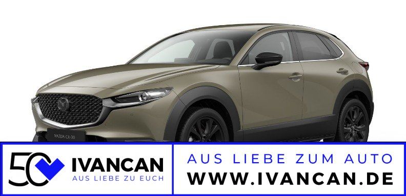 Fahrzeugabbildung Mazda CX-30 2.5i 140PS A/T Exclusive-Line