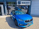 Skoda Fabia Style Colour Edition 95PS SHZ+APP+LED+PDC+ - Skoda Fabia: Edition Style