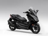 Honda Forza 350 Matt Cynos Gray "NEUWERTIG" - HONDA FORZA 350
