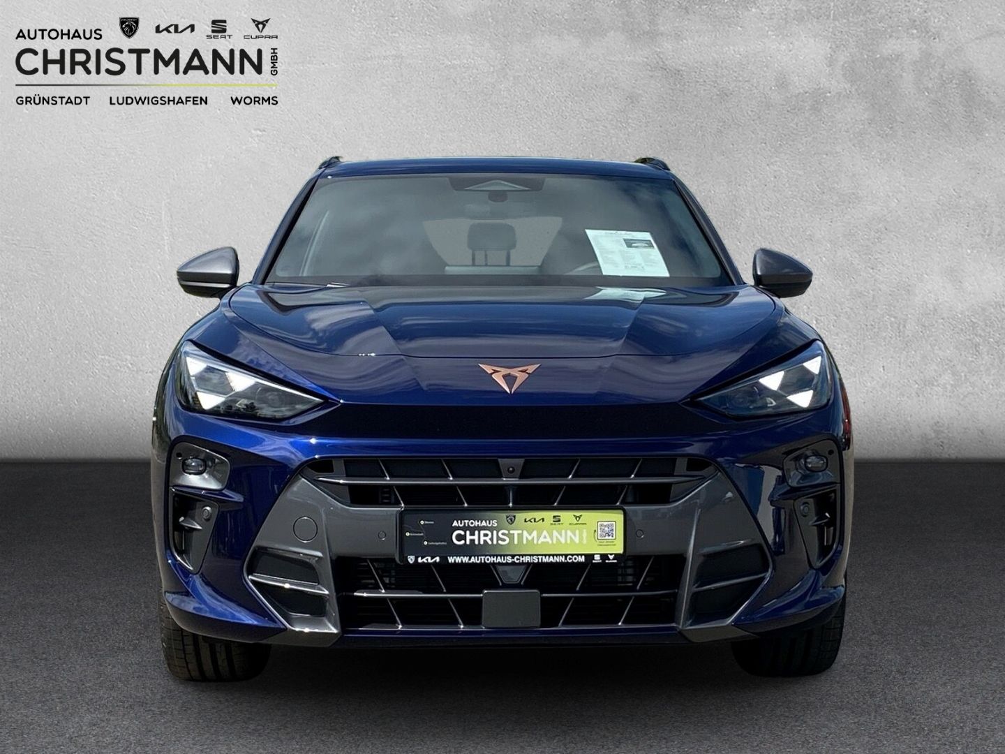 Fahrzeugabbildung CUPRA Terramar 2.0 4Drive VZ*HUD*Navi*Cam*Matrix*