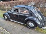 Volkswagen 1955er VW Käfer Ovali - Volkswagen Käfer mit Benzin-Antrieb: Ovali