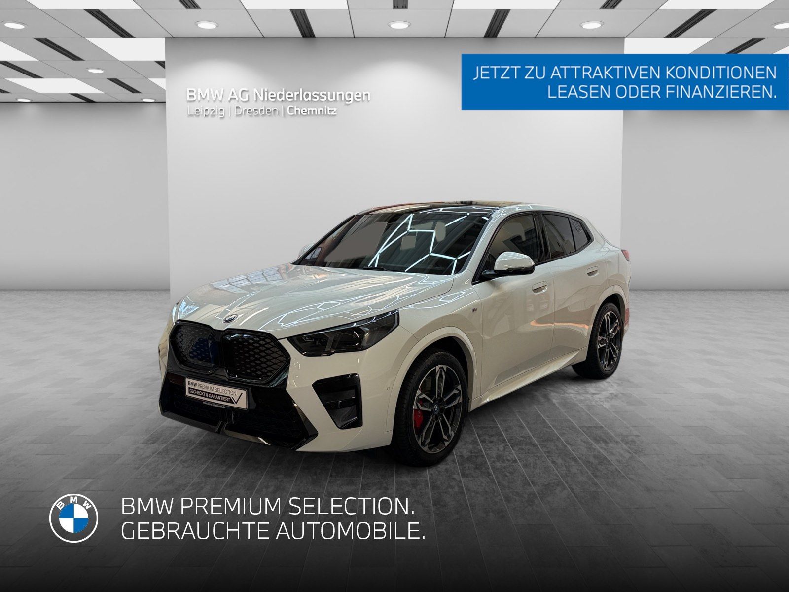 BMW iX2 xDrive30 M Sport Driv.Assist.Prof Harman K foto 1