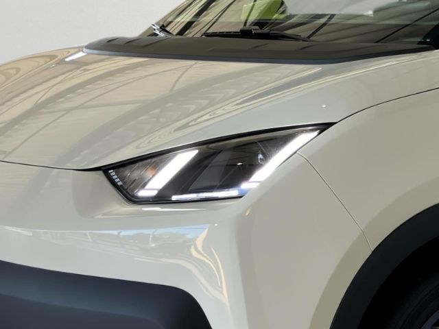 BYD DOLPHIN SURF