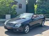 Mercedes-Benz CLK 200 Cabrio Kompressor/Avantgard/Sehr Gepfleg - gebrauchte Mercedes-Benz CLK 200 aus dem Jahr 2006