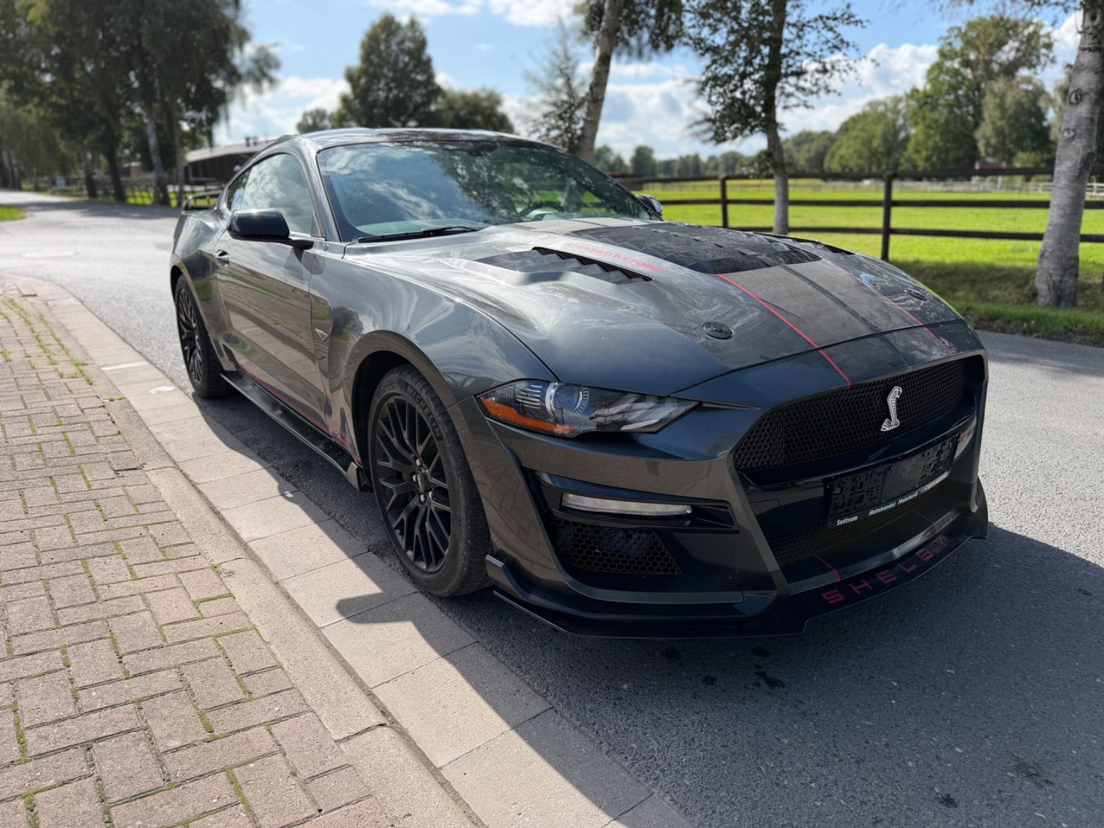 Ford Mustang 5.0 Ti-VCT V8 GT Shelby