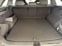 Skoda Kodiaq - Vorschau Bild 7