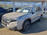 Subaru Forester 2.0ie e-BOXER Exclusive Lineart - Subaru Forester in Bielefeld