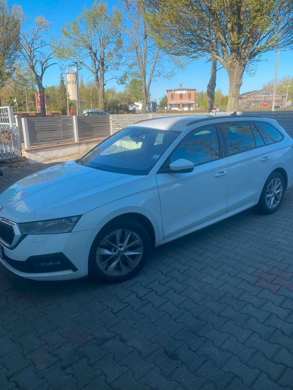 Image of Skoda Octavia