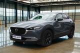 Mazda CX-30 2.0 TACUMI Aut. Leder/Navi/Kam/Pano/LED - Mazda CX-30 mit Schiebedach