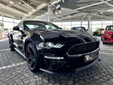 Ford Mustang 5.0 BULLITT 1.Hd+DE+Unfallfrei +RECARO - Ford Mustang in Hagen