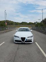 Alfa Romeo Giulia 2.0 Turbo 16V 206 kW AT8-Q4 Veloce Veloce - Alfa Romeo: Weiß