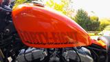 Harley-Davidson 48 Sportster XL1200X - HARLEY-DAVIDSON 2010 SPORTSTER 1200