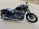 Harley-Davidson Sportster Iron XL 883 N - Offers