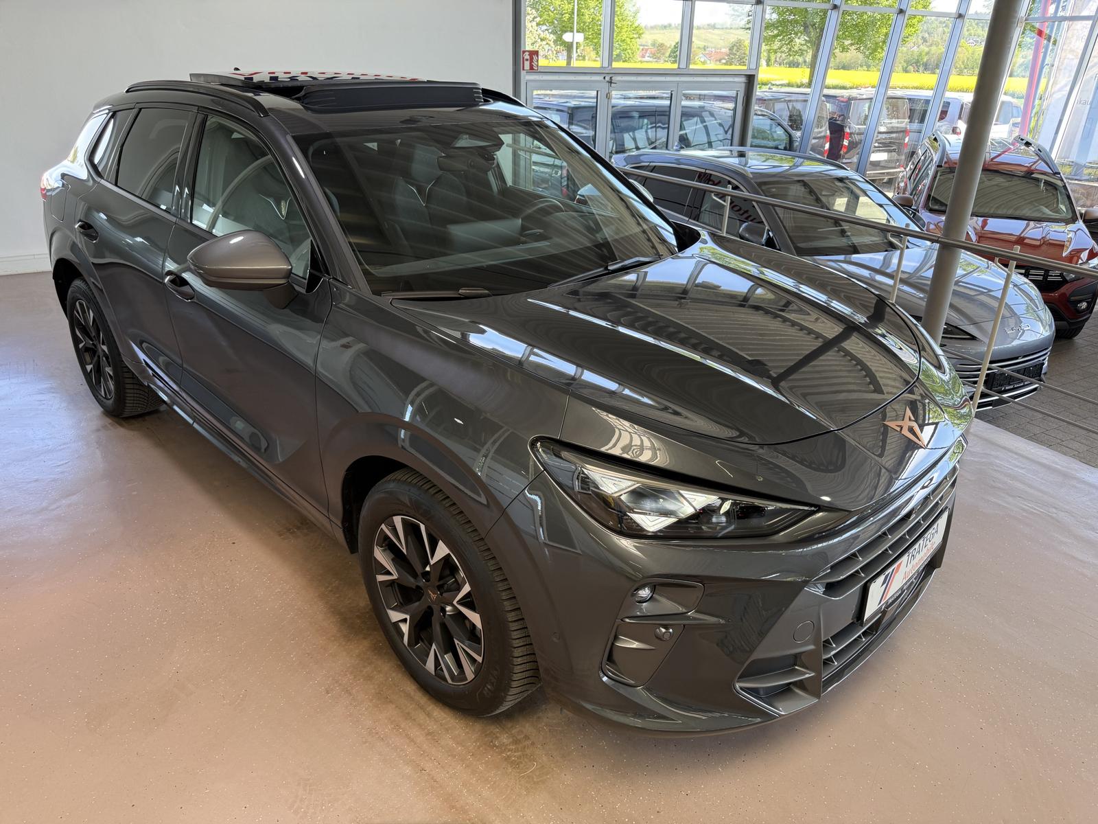 Cupra Terramar 2.0 TSI 4Drive AHK Pano HUD 360° Matrix