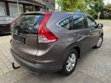 Honda CR-V Comfort Black Edition 2WD,AHK,Navi,PDC - Honda CR-V aus 2014