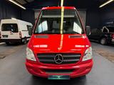 Mercedes-Benz Sprinter 516 City 65 EvoBus Automatik Dachklima - Mercedes-Benz 65