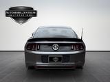 Ford MUSTANG 3.7 COUPE- ECHTE MUSCLE CAR LEIDENSCHAFT - Ford Gebrauchtwagen mit Automatikschaltung