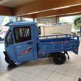 Andere Elektrofrosch Cargo Trike Andere Pritsche kippba - Andere Gebrauchtwagen