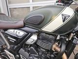 Triumph Scrambler 400X + Motorbügel+LED Blinker - MOTORRAD VON 251 BIS 500 CCM