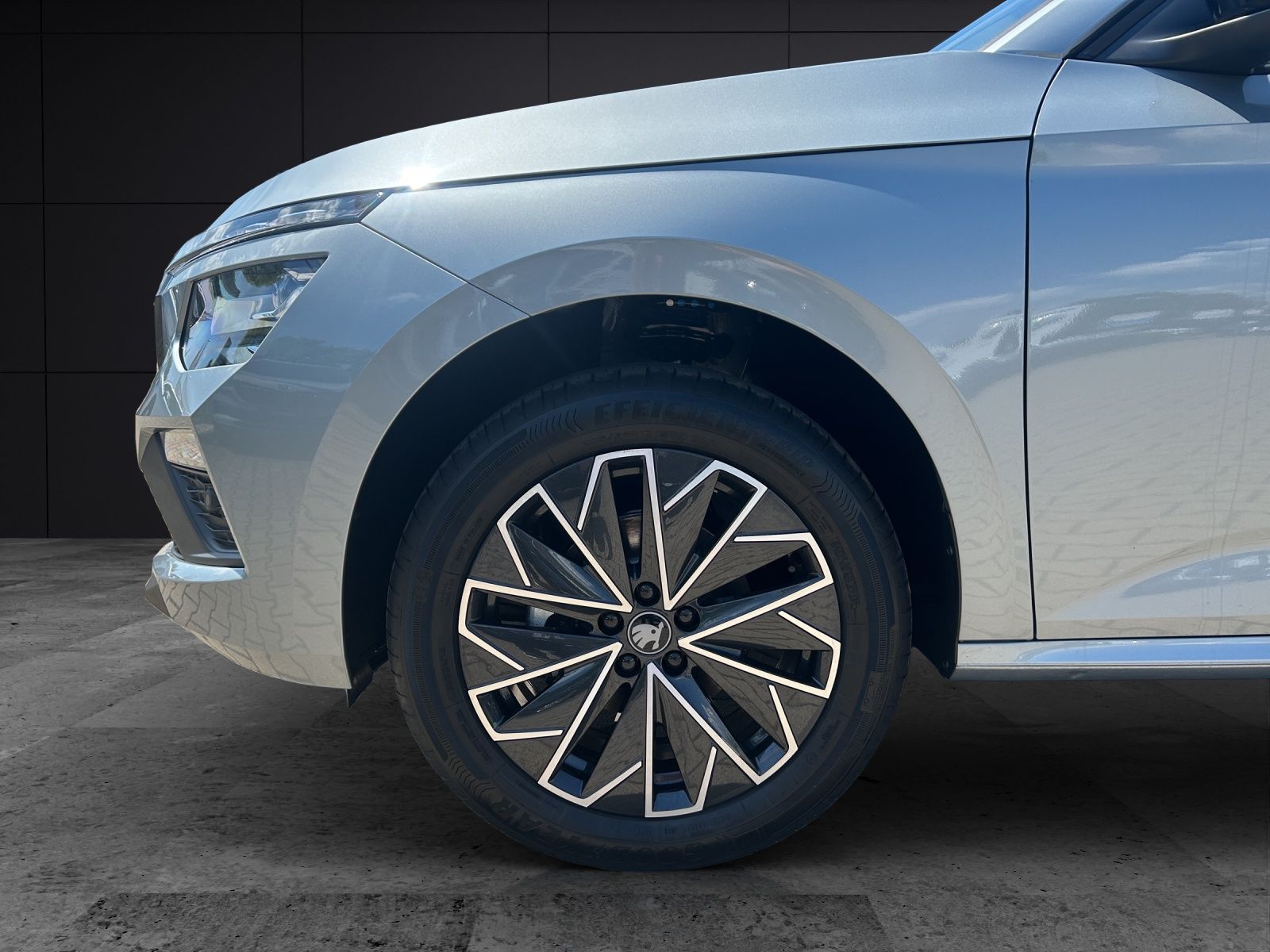 Fahrzeugabbildung SKODA Kamiq 1.0 TSI Selection MATRIX AHK