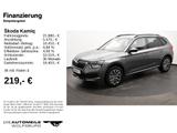 Skoda Kamiq 1.0 TSI Tour Tempo/Einparkhi/Multilenk - gebrauchte Skoda Van