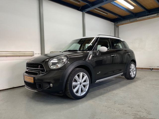 MINI Cooper S Countryman ALL4 LEDER NAXI XENON