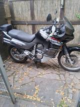 Honda Transalp 600 PD10 - HONDA TRANSALP PD10