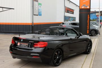 Fahrzeugabbildung BMW 230i Cabrio M Sport HK Wlan Navi Prof Leder