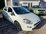 Fiat Punto MYSTYLE Euro6/Klima/Alu - Fiat Punto: Mystyle