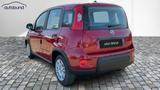 Fiat Panda 1,0  Hybrid (MHEV) Pandina Base NBA PDC  - Fiat Panda Pandina mit Benzin-Antrieb